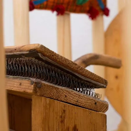 فيلة Samodiva ياغودينا